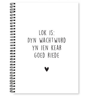 Fries Wachtwoordenboekje - Afbeelding 2