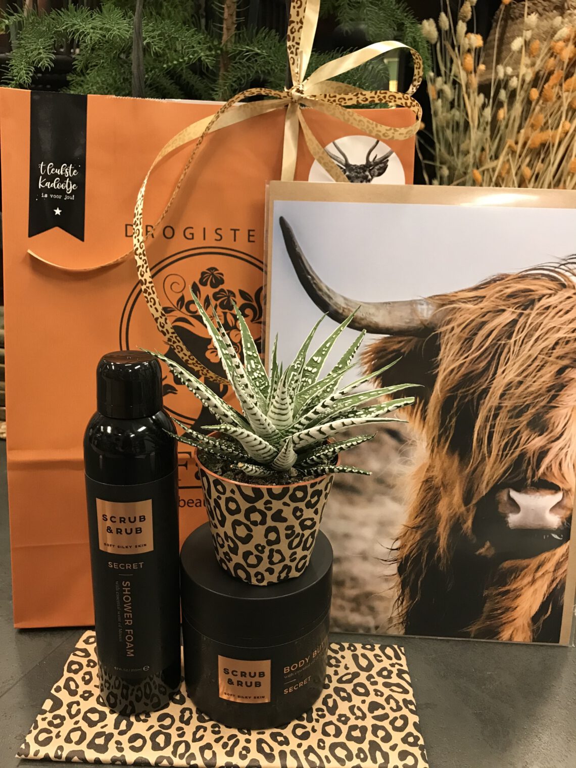 Schotse hooglander/Scrub&Rub